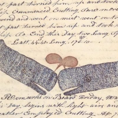 Drawings of whales in the log of the ship Indian Chief kept by Thomas R. Bloomfield (1842–1844)