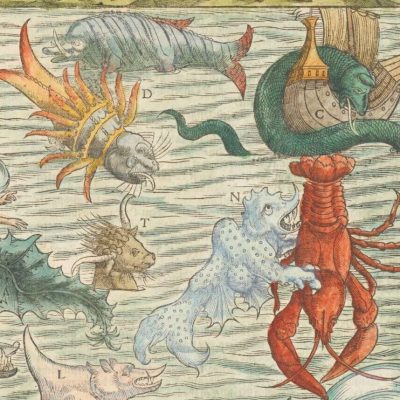from the collections of the State Library of New South Wales.